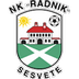 Radnik Sesvete