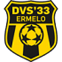 DVS 33