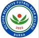 Bursa Nilüfer FK